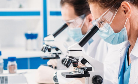 Епізоотична та епідемічна ситуація на Житомирщині: сказ, АЧС та харчові отруєння