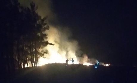 У Ржищеві рятувальники гасили траву. Палії знову беруться за справу?