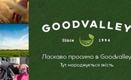 Як працювати у нових умовах? Досвід Goodvalley Ukraine