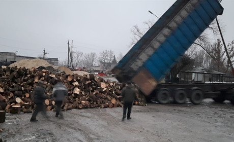 Скільки домогосподарств Шосткинської громади отримали безкоштовні дрова