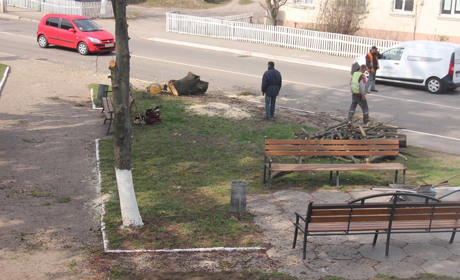 У Калинівці в центрі міста реконструюють сквер