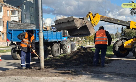У Переяславі уздовж тротуару на вулиці Покровській готуються саджати дерева