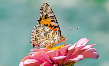 Якої погоди чекати сватівчанам і мешканцям району у останні дні червня і перші дні липня 2020