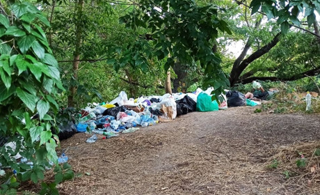 В самому центрі Херсона — стихійне звалище і сморід. А там міг би стояти Макдональдс