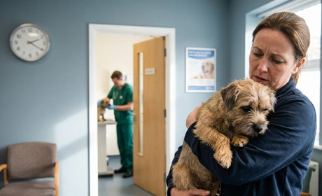 Ветеринарна допомога у Південноукраїнську: актуальні графіки роботи закладів