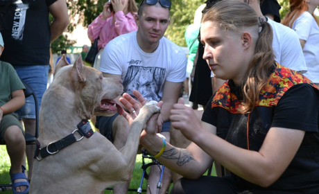Реабілітація через спорт, мистецтво й підтримку: як пройшов захід для ветеранів «Сарненська звитяга»