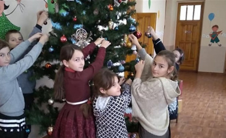  Святковий настрій проти коронавірусу: в Черепашинцях у школі уже прикрасили ялинку