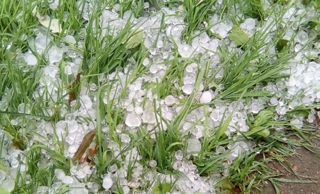 «Ураган Дориан» по-мелитопольски: градом побило крыши и окна, овощи, фрукты и листья 