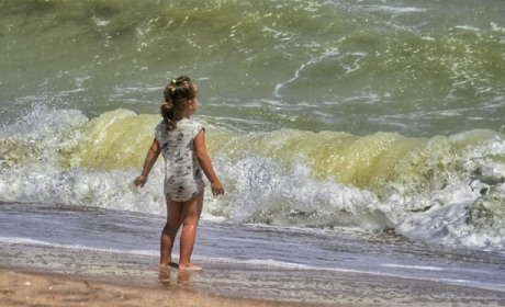 Как провести в Мелитополе и Мелитопольском районе выходные дни 28-30 июня