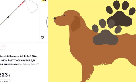 Жовтоводці збирають кошти на спецобладнання для відлову безпритульних собак