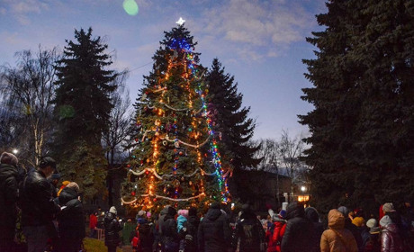 Засяяла головна ялинка Кагарличчини