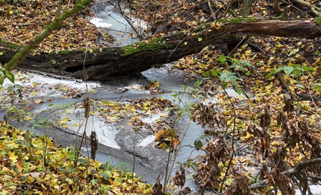 Посадовиця молокозаводу на Хмельниччині відповідатиме за скид неочищених стоків у річку Калюс