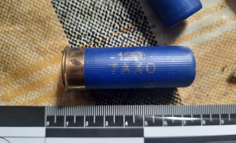 Троє в сквері – один мертвий