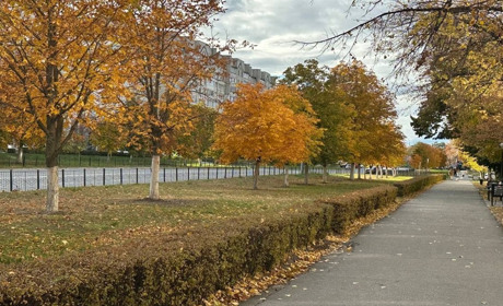 Радіаційний стан навколо Хмельницької АЕС за минулий тиждень