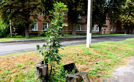 Щоденний дайджест від Золотоноша.City: зустрічаємо новий день – 8 серпня 2021 року