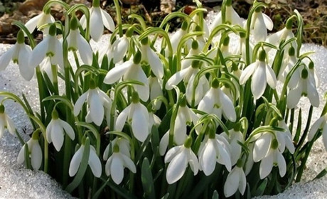 Якою буде погода на початку наступного тижня: прогноз синоптиків