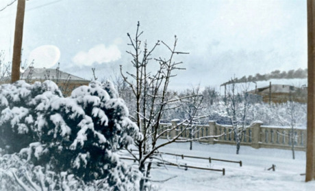 Туман, дощ із мокрим снігом та ожеледиця: що прогнозують синоптки Сумщини та України