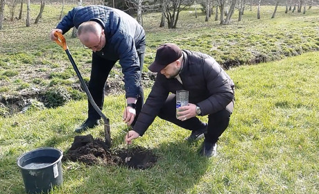 В Умані посадили пагінець від верби Шевченка із Казахстану