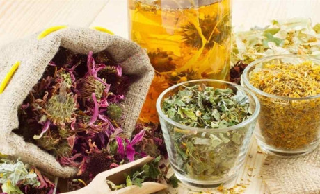 Южненська сімейна лікарка коментує популярні народні методи лікування горілкою та часником (ФОТО)