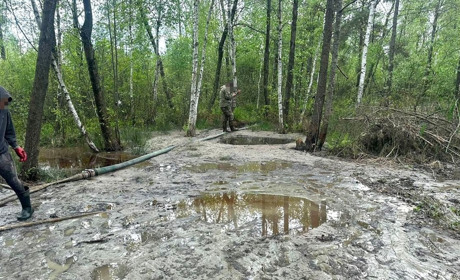 Бурштинові рейди: у трьох селах Сарненського району спіймали старателів