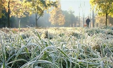 На Луганщину насуваються заморозки. Синоптики попередили місцевих