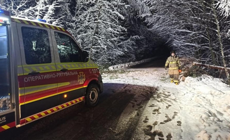 На Володимиреччині дерево впало на дорогу та перекрило рух транспорту