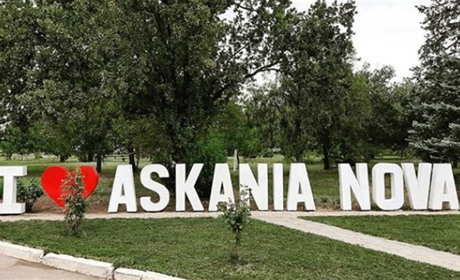(Подкасти Кавуна): Чарівний світ «Асканії-Нова»: як народжувалось одне з чудес України