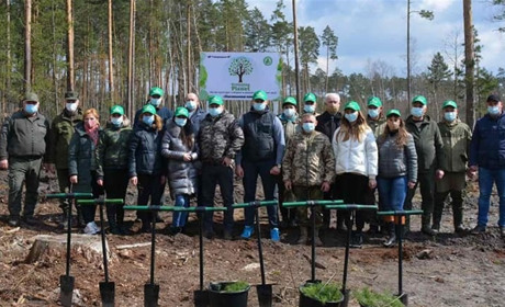 Акція "Озеленення планети": на Новоград-Волинщині висаджують ліс