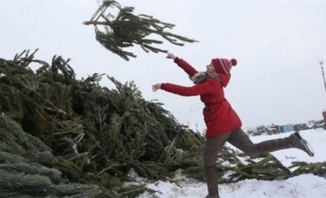 Коли і як викидати новорічну ялинку, щоб не втратити достаток та щастя