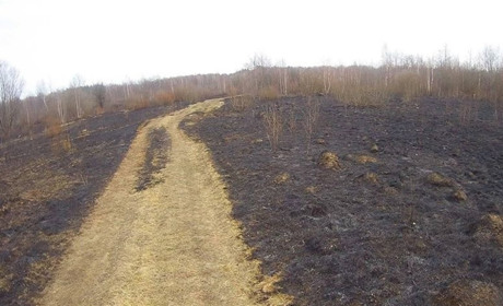 На Володимиреччині затримали палія сухої трави
