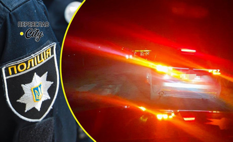 На Переяславщині водій збив птаха, який раптово вилетів на дорогу: хроніка поліції