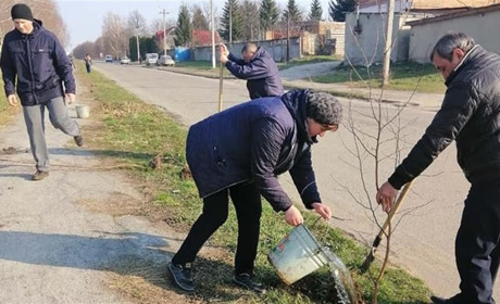 Фотофакт: барські комунальники продовжують висаджувати молоді дерева