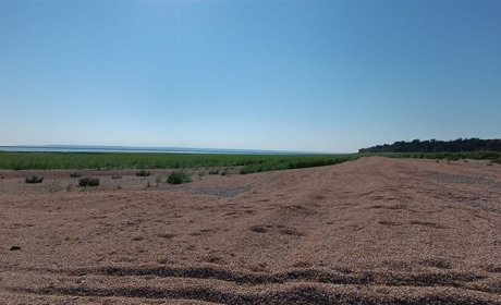 Три місяці після підриву ГЕС: яке зараз Каховське море
