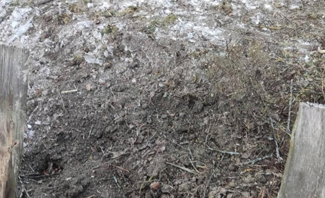 12 грудня прикордоння Чернігівщини ворог обстріляв із САУ: під обстрілом опинилася Семенівщина