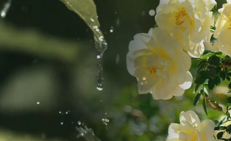 У понеділок очікуємо дощів із грозами, місцями - з градом та шквалами: прогноз погоди