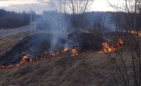 Кременчани не реагують на заборони і продовжують палити суху траву