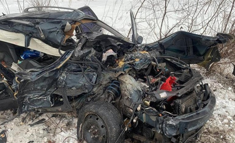 Через п'яного водія загинув чоловік: поліцейські оголосили підозру звягельчанину