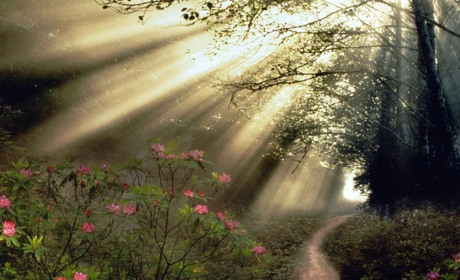 "А отака церковця стояла у Звягелі над Случем": дитинство Лесі Українки у спогадах сестри