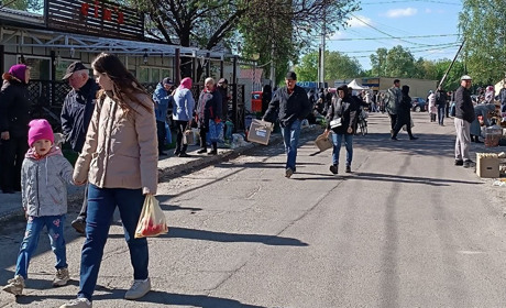 На базарі у Переяславі була розсада помідорів по 70 грн, але її брали мало, остерігаючись заморозків