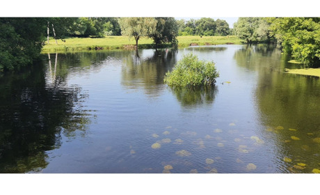 Велика вода серед літа у Білопіллі: що стало причиною підтоплень?