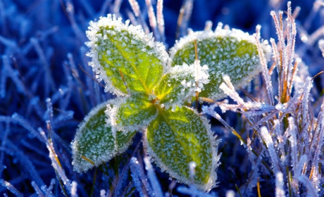 Від заморозків до плюс 22: погода на Сумщині у найближчі дні