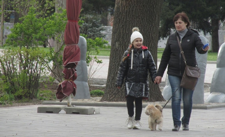 Возле Биг Бена слива расцвела: в мелитопольском парке становится краше, но прогулки - под запретом 