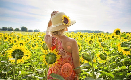 Якою буде погода у Сватовому в останні дні липня і перші дні серпня 2020: прогноз на тиждень