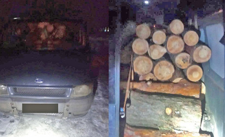 У селі Біле поліцейські затримали бус із нелегальним лісом