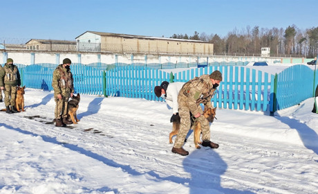 Службових собак у Полицькій колонії обстежили лікарі