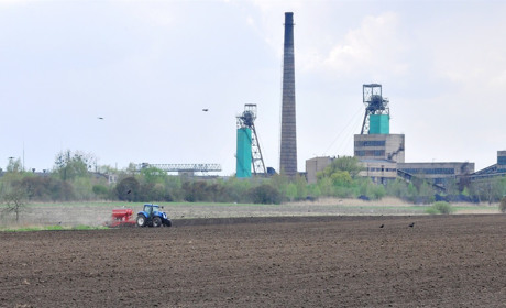 Посівна під час війни: чи будемо з хлібом?