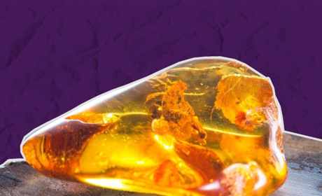 Дозволи на видобуток бурштину на Володимиреччині можна буде купити на аукціоні