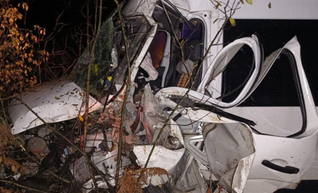 На Звягельщині мікроавтобус злетів у кювет: постраждала жінка