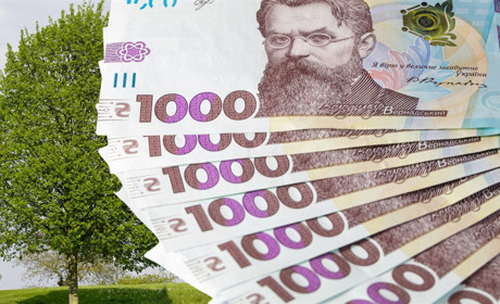 Чоловік із Сарненщини сплатить понад 18 тисяч штрафу за шість зрубаних лип