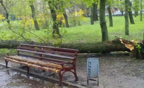 КП «Парки Херсона» не звітує про укладені договори і не коментує 
